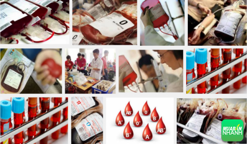Nhóm máu AB là nhóm máu hiếm và ít với khoảng gần 5% dân số Việt Nam