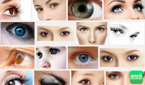 Vận động mắt sẽ giúp mắt khỏe mạnh và long lanh