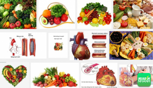 Chế độ ăn cho người bệnh mạch vành cân bằng, hợp lý sẽ giúp cải thiện sức khỏe tim mạch