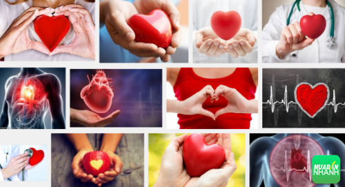 Bệnh tim mạch là bệnh liên quan đến sự hoạt động quá sức của tim
