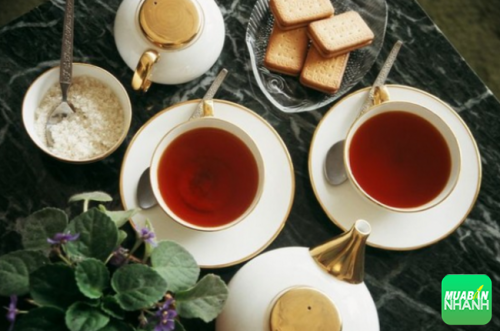 Nước trà rất tốt cho người mắc bệnh lý huyết áp thấp