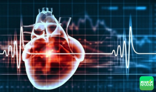 Nhịp nhanh trên thất là bệnh tim mạch có nguy cơ khiến bệnh nhân tử vong cao