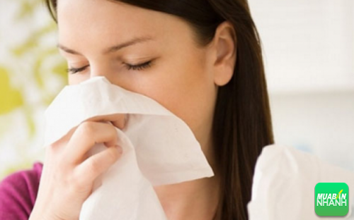 Khí hậu ảnh hưởng đến hệ thống hô hấp và khiến mũi chảy máu
