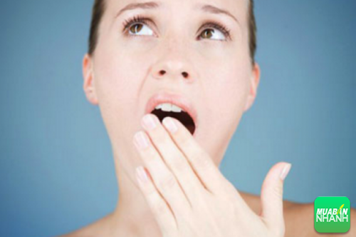 Lá ổi có công dụng kháng khuẩn và giảm cơn đau từ bệnh răng miệng.
