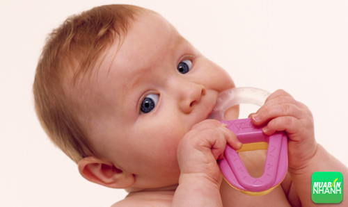 Khi bé mọc răng sẽ hay ngứa răng và thích cắn