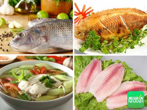 Mỗi tuần, chúng ta nên ăn 2 bữa có cá sẽ cung cấp một nguồn protein nạc tốt hơn thịt đỏ.