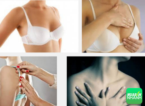 Có nhiều người nghĩ rằng mặc áo ngực là nguyên nhân gây ung thư vú.