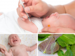 Cách hạ sốt cho trẻ sơ sinh khi tiêm phòng bằng lá tía tô