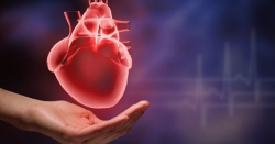 Tất cả những dấu hiệu chứng tỏ nguy cơ bạn mắc bệnh tim mạch rất cao