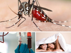 Xác định 3 con đường lây nhiễm chính của virut Zika