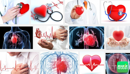 Nguy cơ bạn đang mắc bệnh u trong tim khi có những biểu hiện, 164, Phương Thảo, Cẩm Nang Sức Khỏe, 03/10/2016 13:42:23