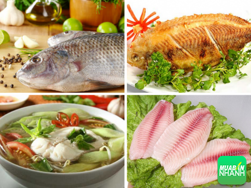 Tại sao chuyên gia dinh dưỡng luôn khuyên bạn nên ăn cá?, 323, Phương Thảo, Cẩm Nang Sức Khỏe, 29/10/2016 11:07:00