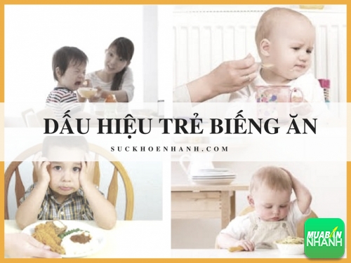 5 Dấu hiệu giúp bố mẹ nhanh chóng nhận ra trẻ biếng ăn, 431, Phương Thảo, Cẩm Nang Sức Khỏe, 20/02/2017 09:22:08