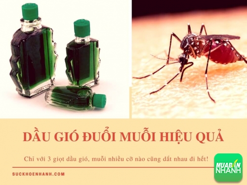 Mẹo đuổi muỗi hiệu quả với 3 giọt dầu gió, 470, Phương Thảo, Cẩm Nang Sức Khỏe, 15/05/2017 10:00:55